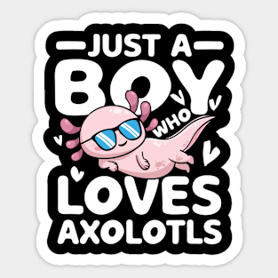 Just a Boy Who Loves Axolotls Sticker